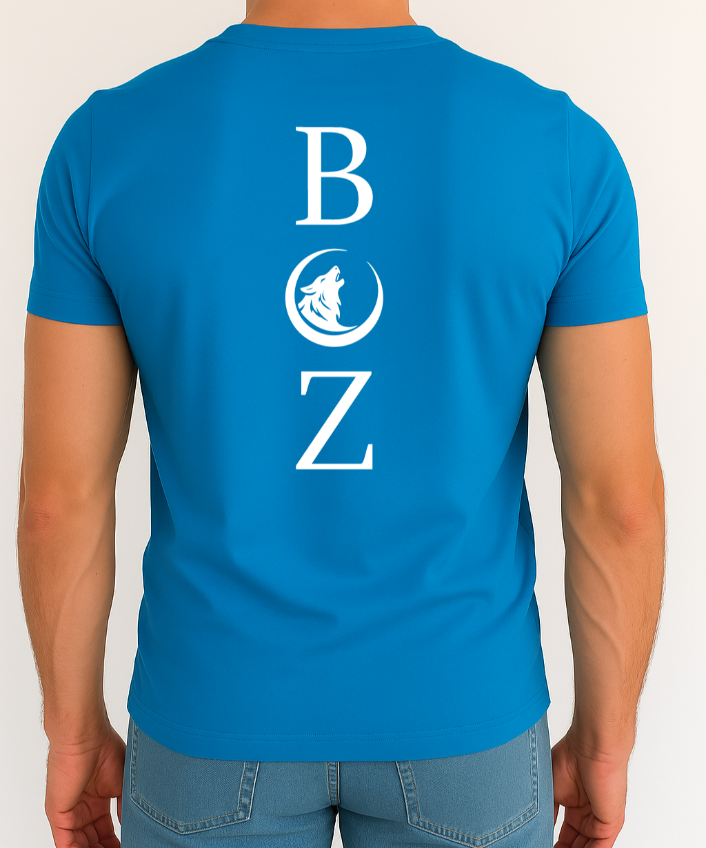 BOZ Flow