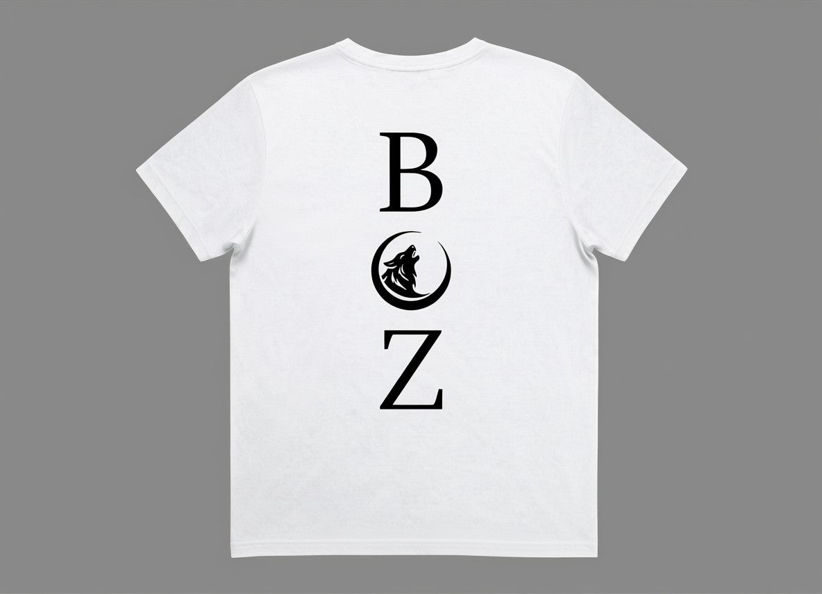 BOZ Flow