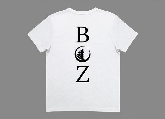 BOZ Flow